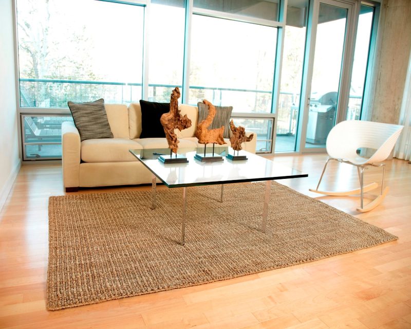 mira jute rug 27